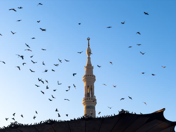 Birds above mosque