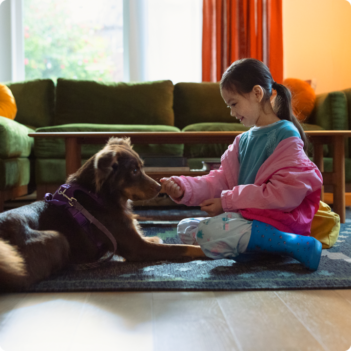 A child and her dog are sitting on the floor together in a warm Airbnb.org stay.