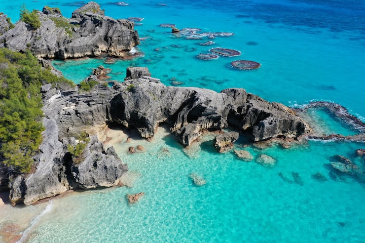 Bermuda #03