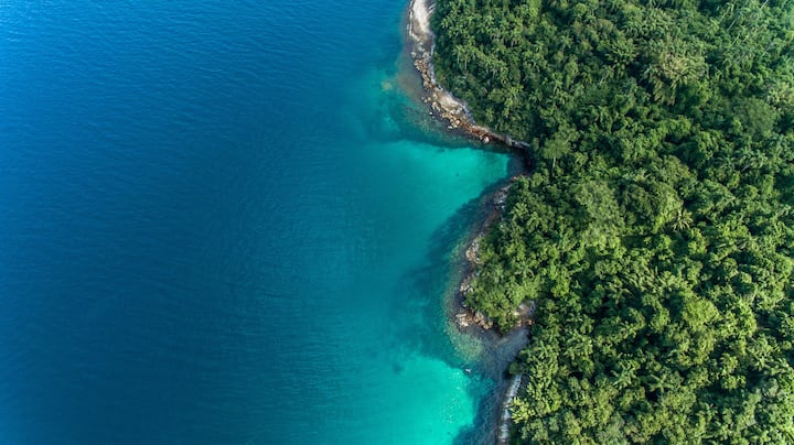 Caribbean #02