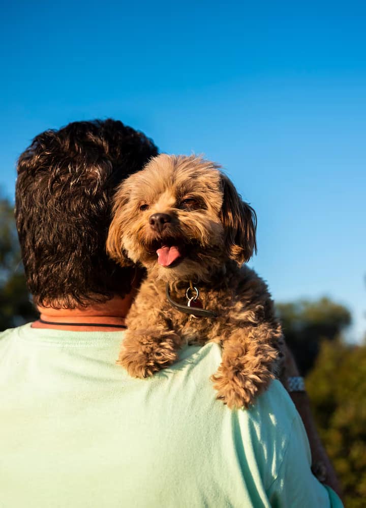 person holding dog