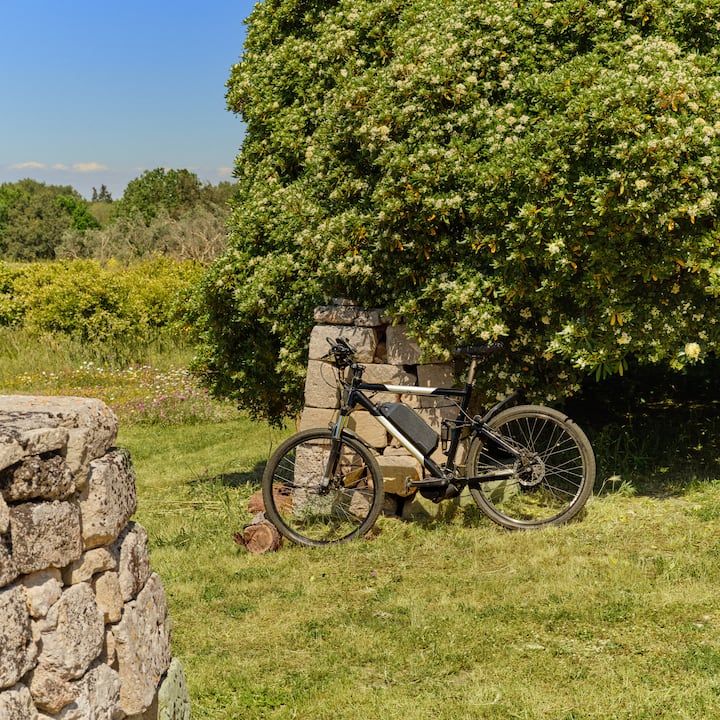 Bicicleta eletrónica Masseria