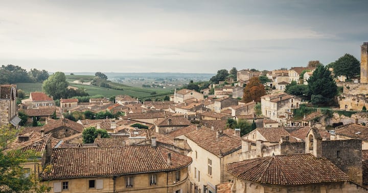 Champagne region in France
