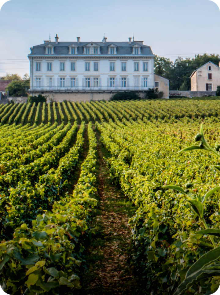 Une grande demeure à Gevrey-Chambertin et un vaste vignoble au premier plan, avec la mention « Étape 4 Gevrey-Chambertin » en bas à gauche et une flèche vers la droite.