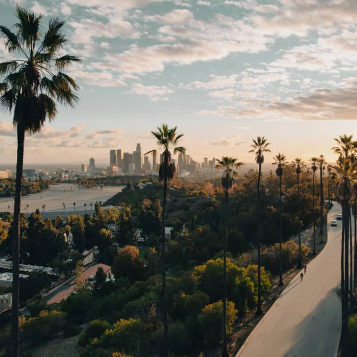 La silhouette urbaine de Los Angeles se dessine derrière un parc et des palmiers, évoquant la proximité de logements Airbnb pour les Jeux de LA28.
