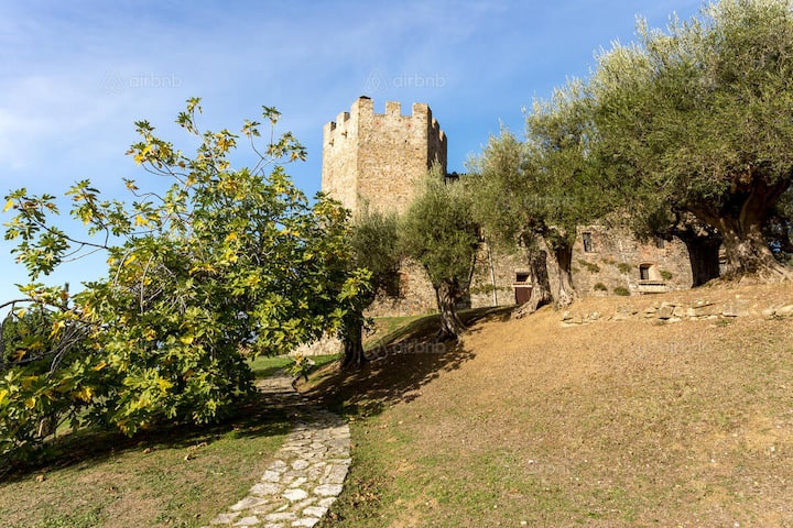 Stone path leading to a hilltop castle tower surrounded by trees in a rural landscape