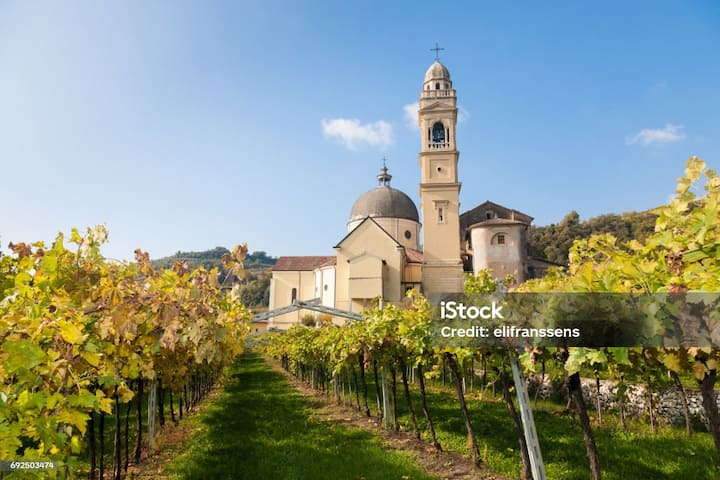 Vigneti in un piccolo borgo rurale italiano con campanile e chiesa al centro, in una giornata di sole limpido.