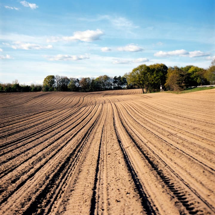 Gepflügtes deutsches Ackerfeld mit tiefen Furchen vor Baumreihe unter blauem Himmel.