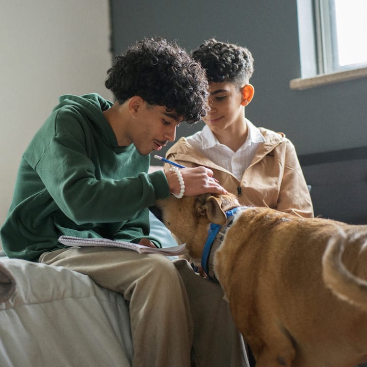 Two young men sitting together indoors petting a dog.