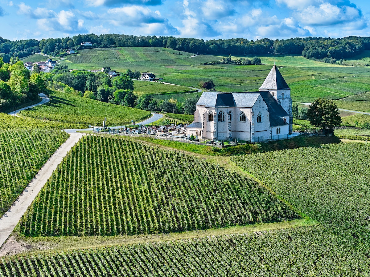 Church overlooking lush Champagne vineyards on a sunny day