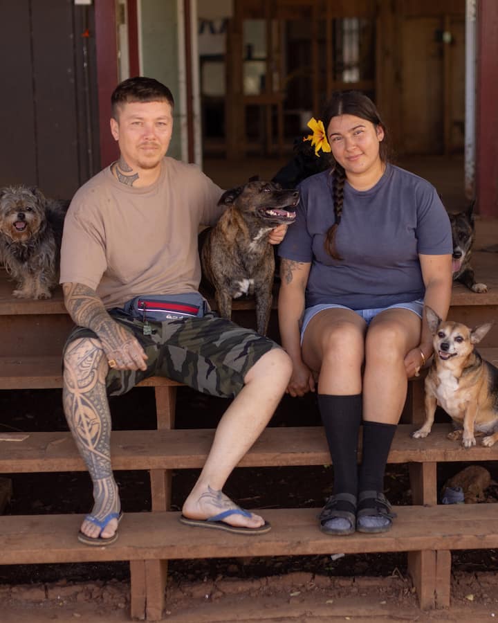 Un home i una dona seuen junts als esglaons d'un porxo envoltats de tres gossos (un de petit i pelut, un de tigrat i un chihuahua de color canyella) amb una casa malmesa al darrere.