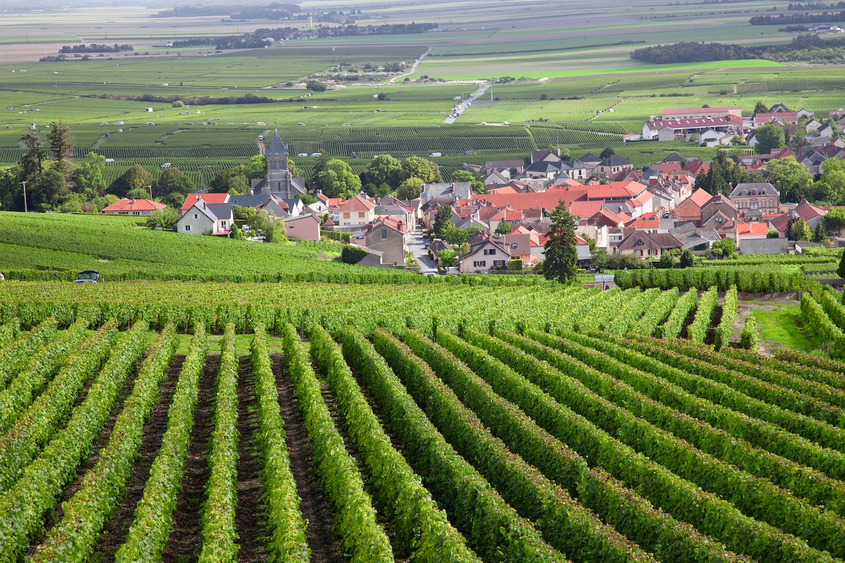 Burgundy wine trips from Paris