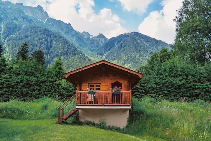 Cosy wooden cabin in a lush meadow, framed by tall evergreen trees and mountains in the background