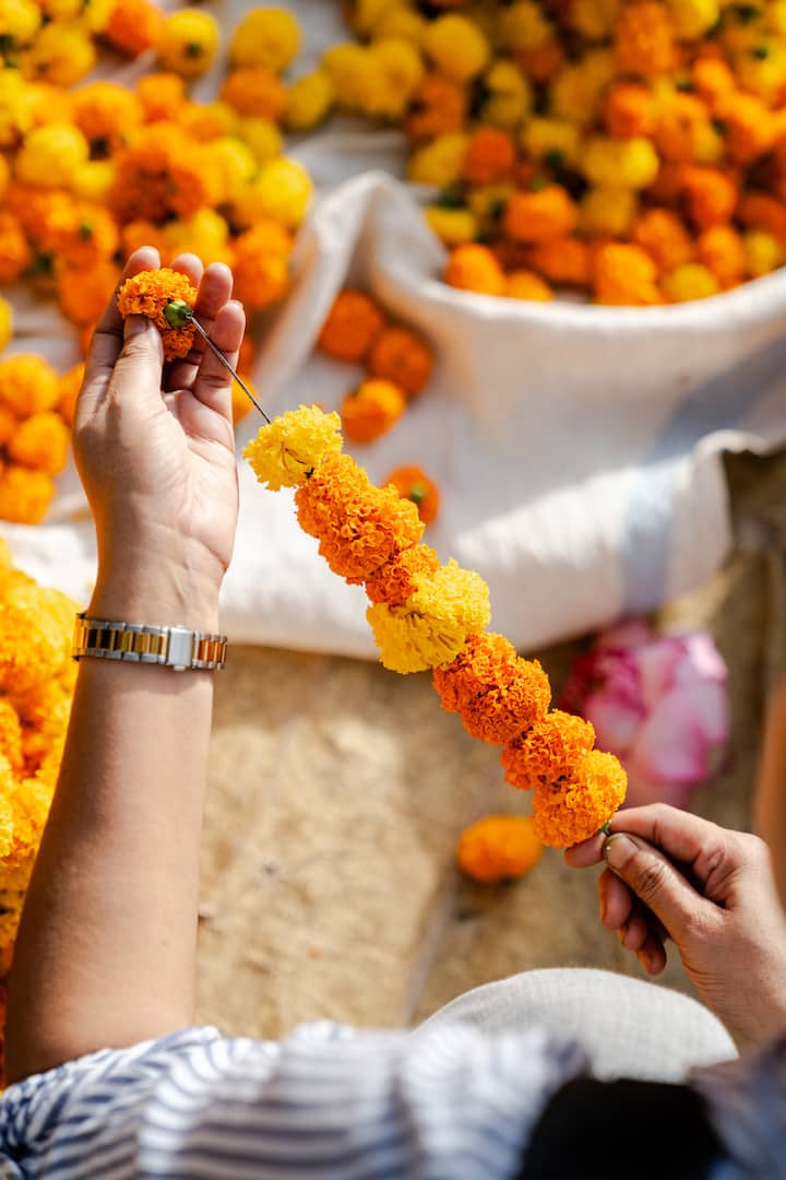 Hands stringing bright orange and yellow marigolds, capturing the vibrant soul of India