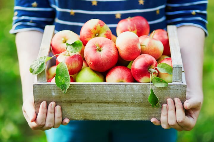 Person holding a wooden crate of fresh red and green apples, highlighting New York cider ingredients
