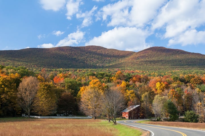 Winding road leading to a farmhouse amid Catskills fall foliage, suggesting a peaceful agritourism escape.