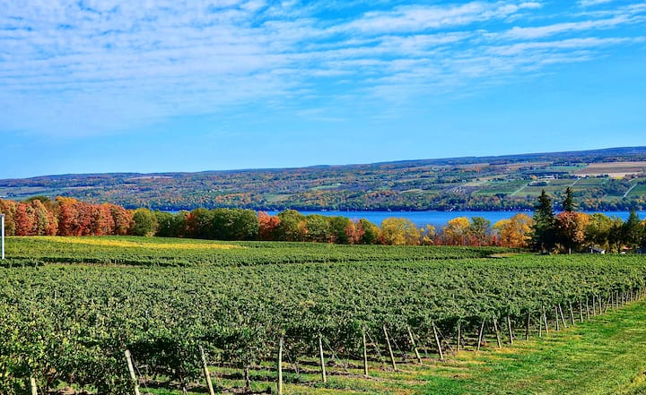 Rolling Capital Region orchards overlooking a blue river, with autumn trees and patchwork farmland in the distance.