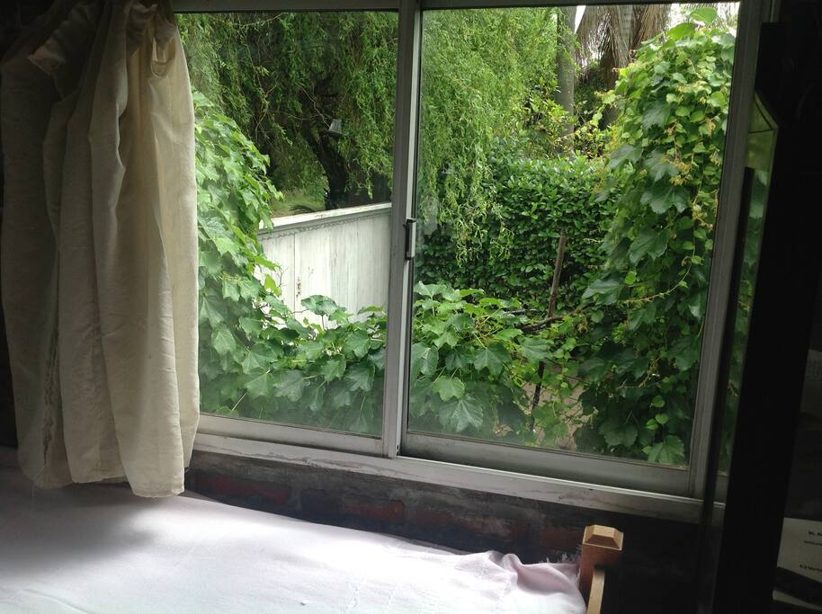 vista de la ventana
