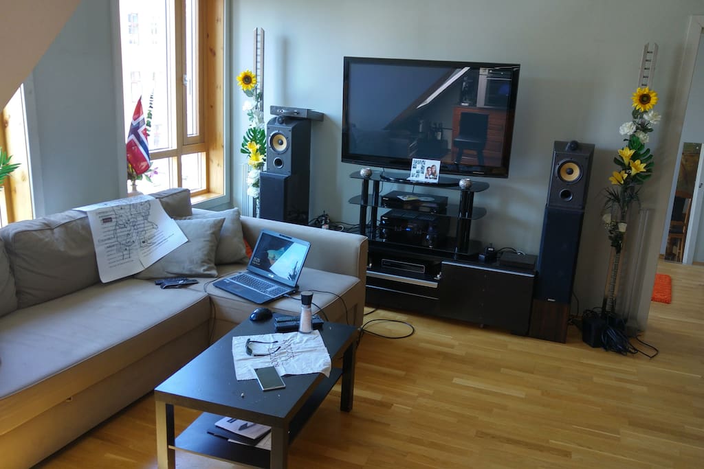 50" PlasmaTV with quality sound system!
