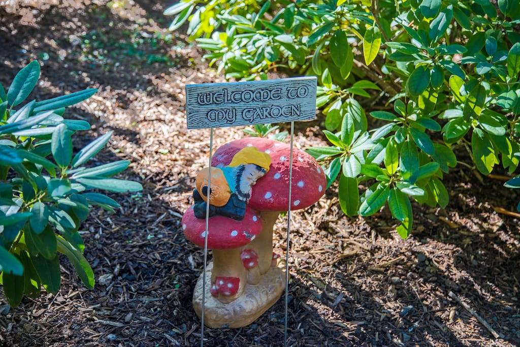 A Gnome's welcome!