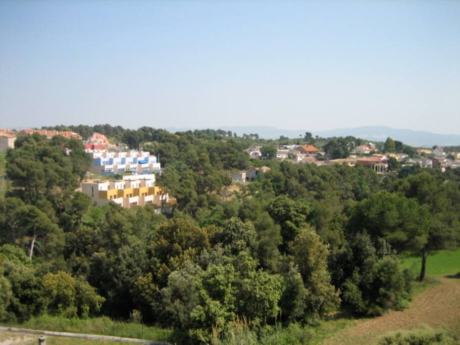 Pedrasanta