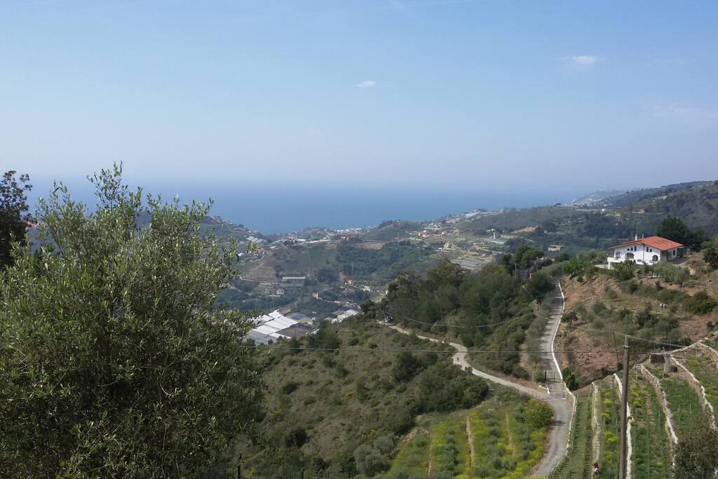 vista