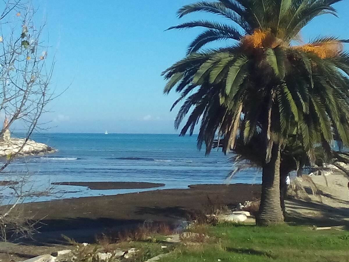 A serene beachfront scene features palm trees gently swaying in the breeze. The clear blue water extends toward the horizon, with a distant sailboat visible. Soft sandy areas can be seen along the shore, inviting relaxation and enjoyment of the coastal environment.