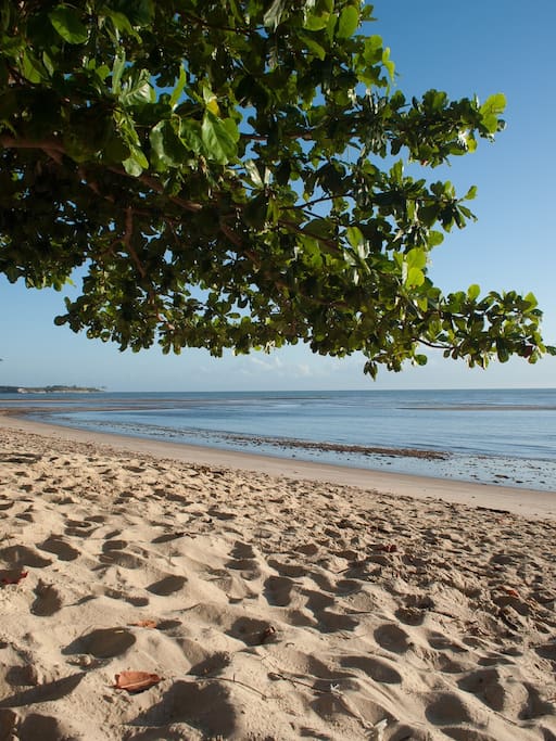 Foto da praia em frente à casa