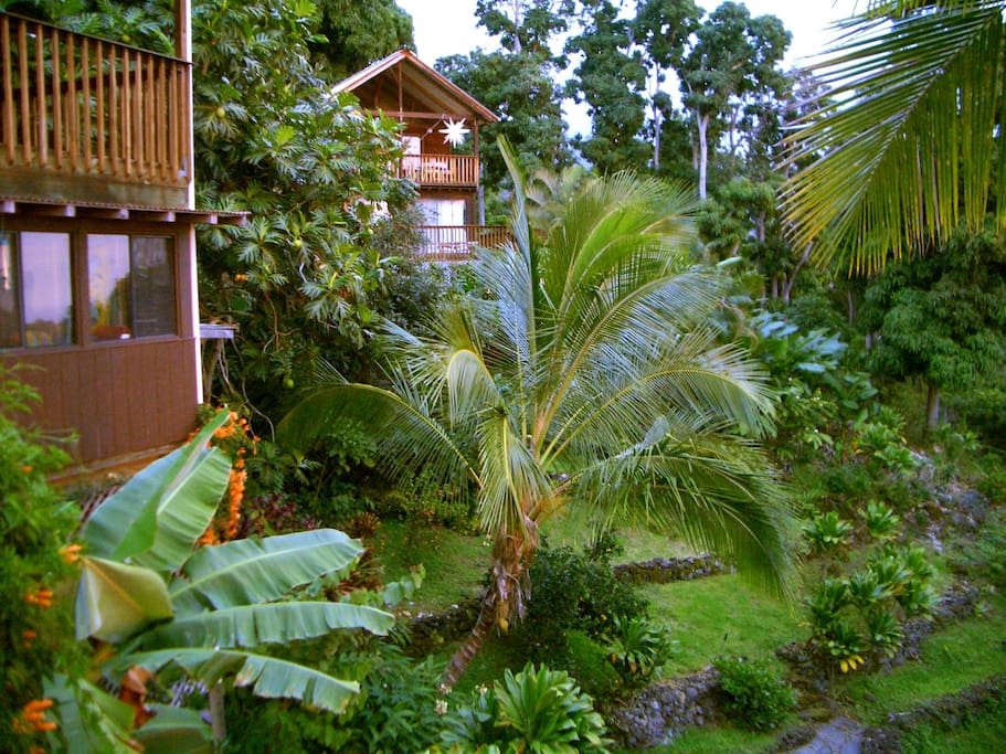 Hidden in a lush jungle setting