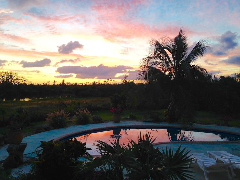 Sunrise view of pool and pond