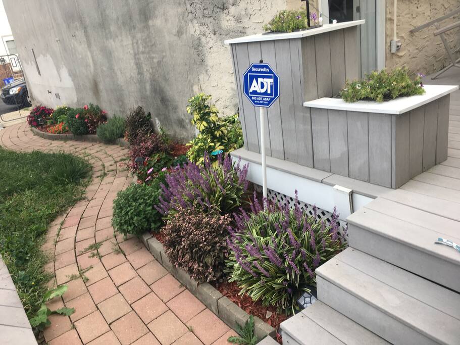 Pathway to deck