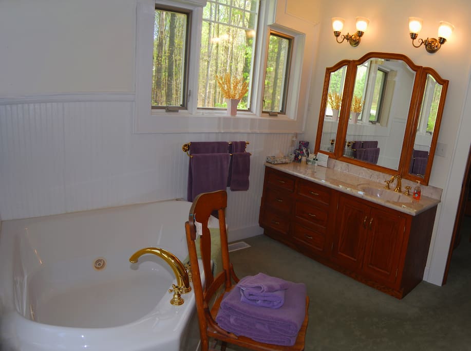 Master Suite bath with jacuzzi tub for two