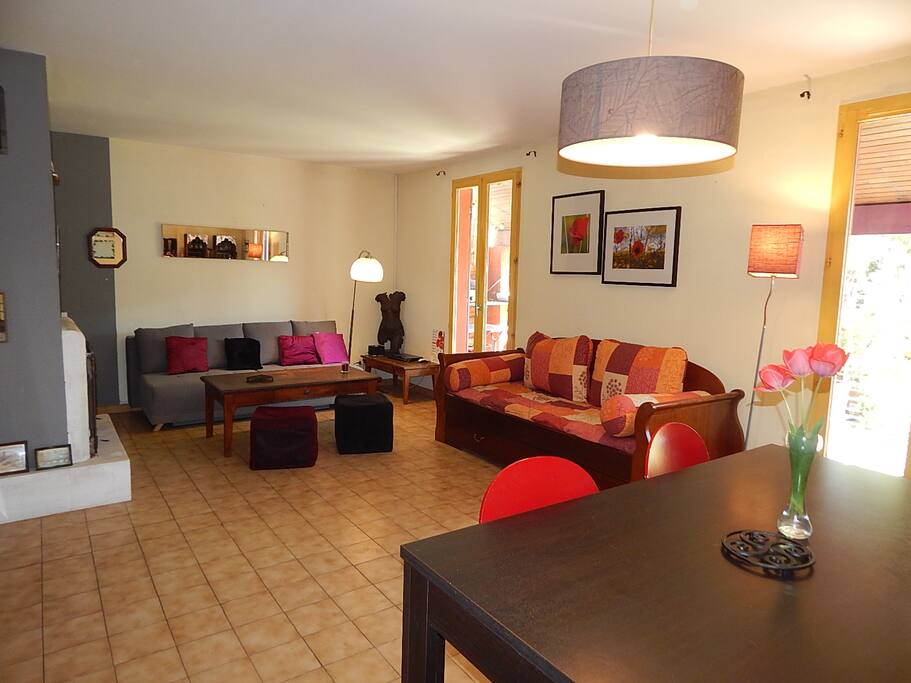 Le salon avec télé écran plat et double couchage confortables donnant sur la terrasse ombragée d'une vigne vierge sans oublier la clim.