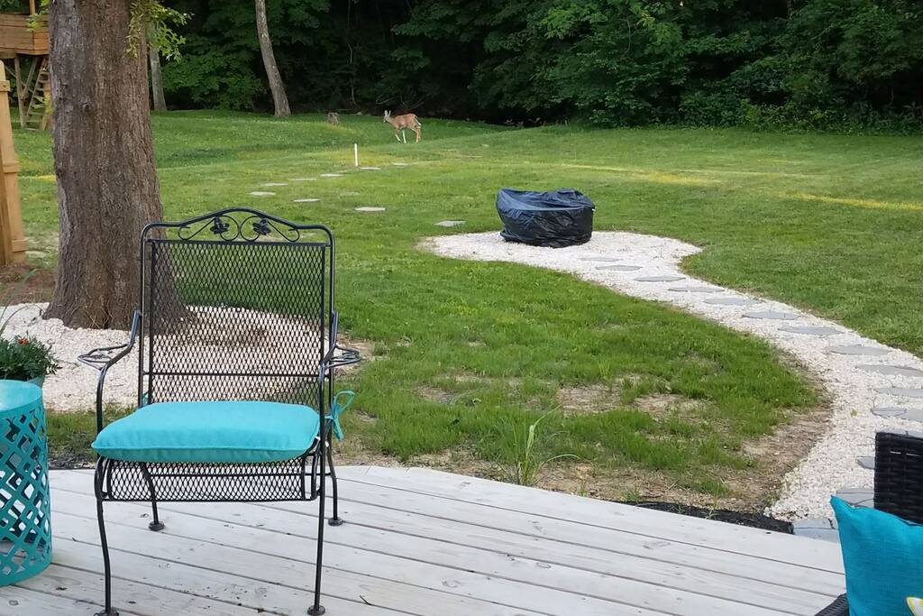 back yard/fire pit