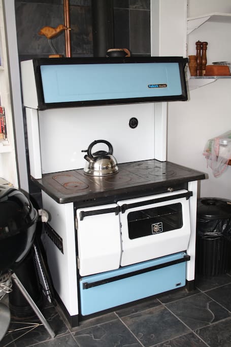 Coal fired stove for warmth and ambience