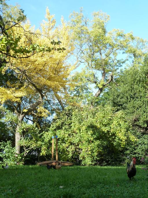 il giardino in autunno