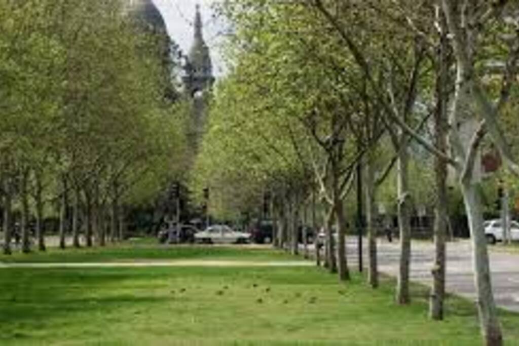 Entorno: a pasos del Parque Almagro. Ideal para correr, ejercitarse o pasear.