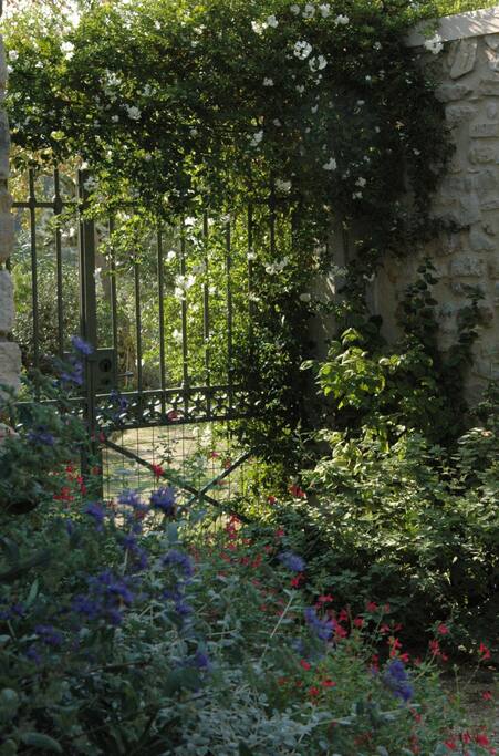 entre les deux jardins