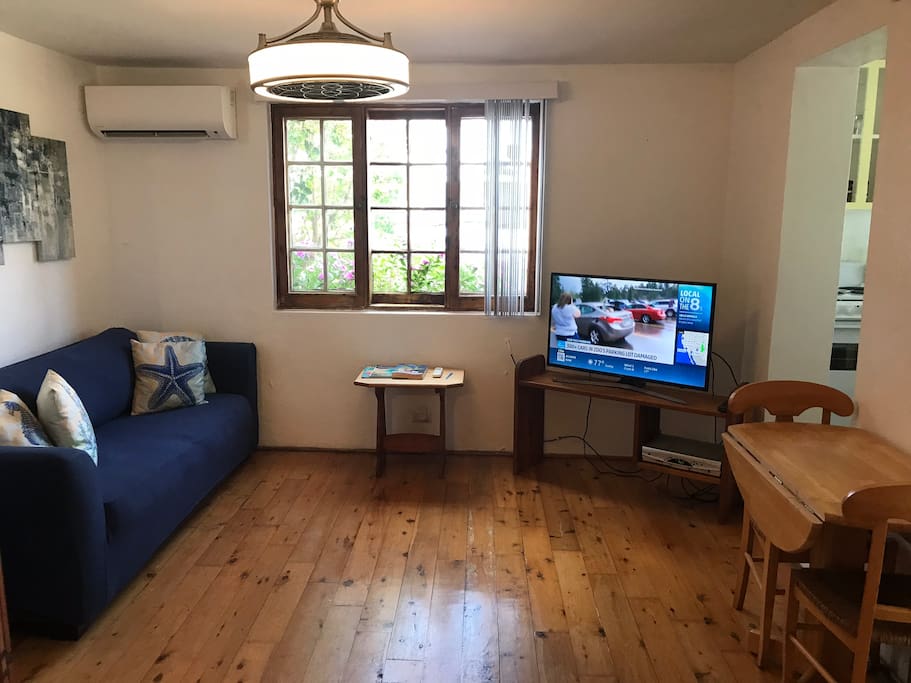 Spacious Living room - free WiFi