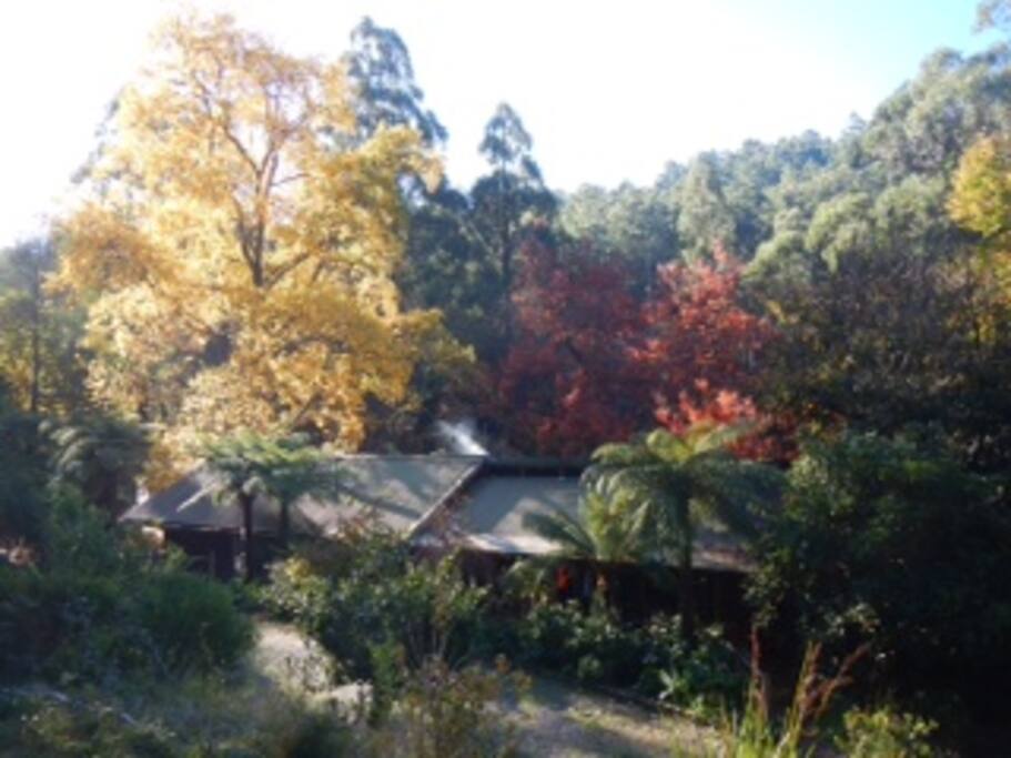 Beautiful in Autumn