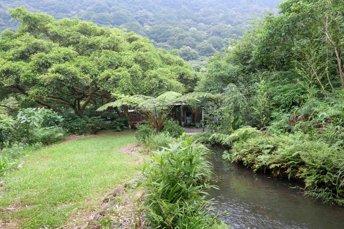 Lush greenery envelops the scene, with dense trees providing a natural canopy. A gently flowing stream runs alongside the property, reflecting the surrounding foliage. The entrance to the house can be seen in the background, blending harmoniously with the tranquil landscape.