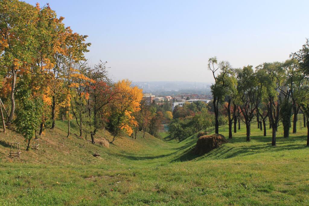 "Lots of green around and very safe neighbourhood" - Kristyna, June 2017