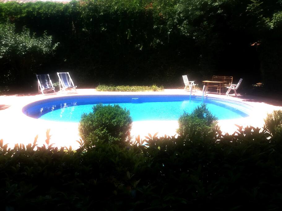 garden and swimming pool (view from terrace)