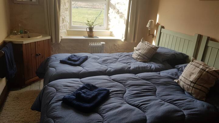 Twin room