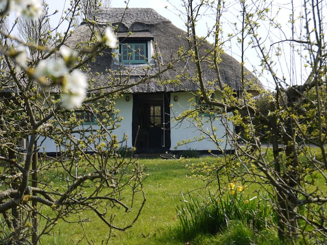 Cornfield Cottage Cottages For Rent In Essex
