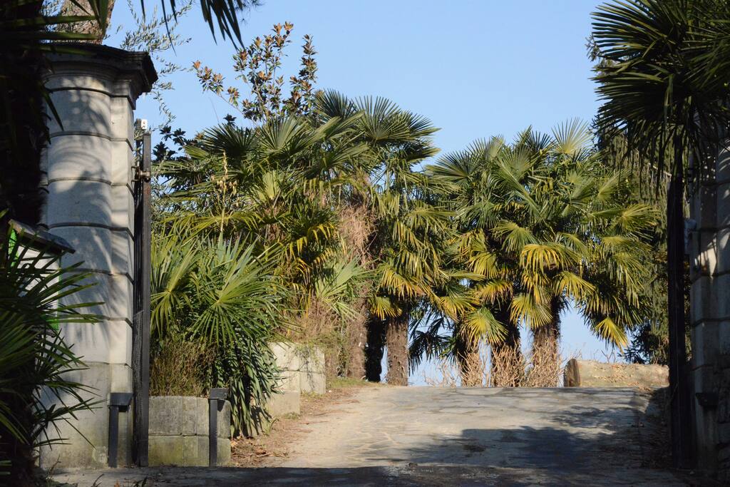 entrance