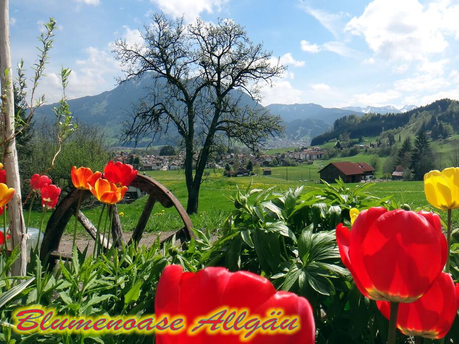 "Gartenpanorama"