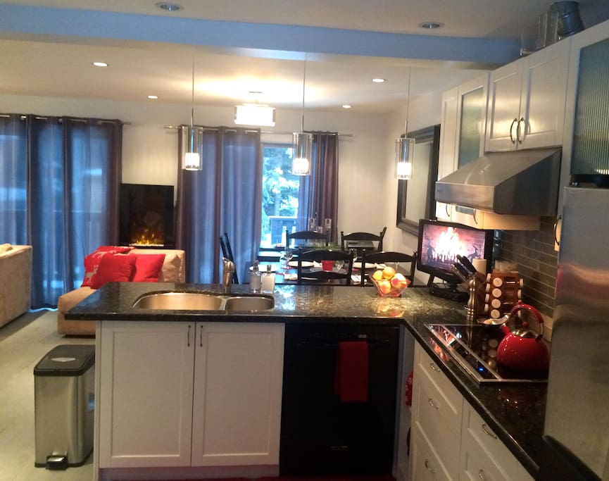 Induction Cooktop and dishwasher