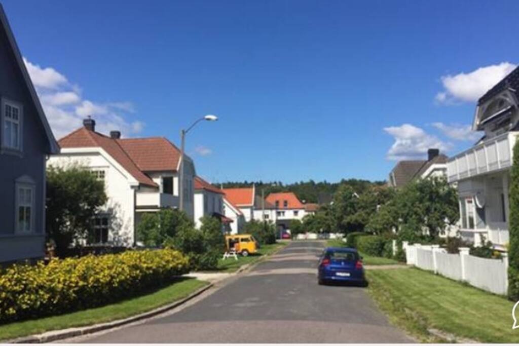 Beautiful neighbourhood (house on the left)