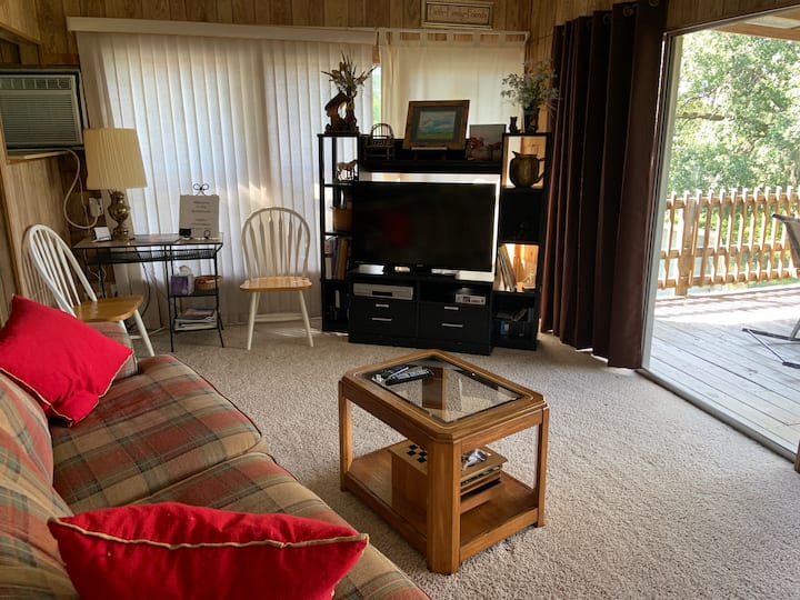 Vardagsrum
TV med antenn och Roku. Har även DVD- och VHS-spelare
Massor av VHS-band som du kan titta på. 